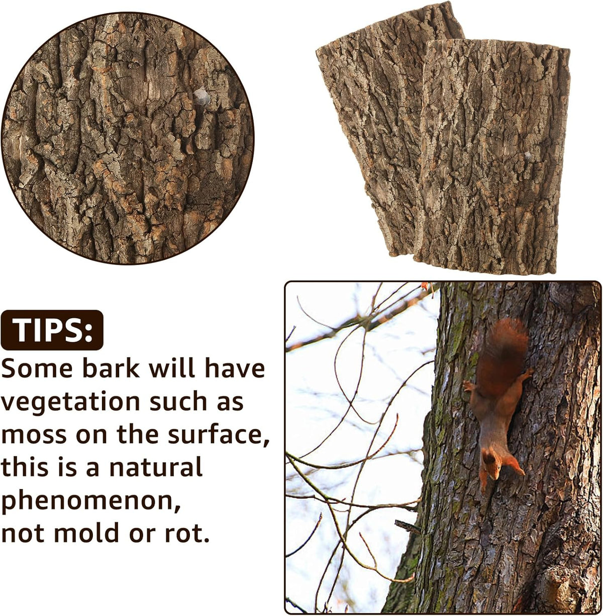 RHBLME 6 Pack Cork Bark for Reptiles, 11.8" L x 7.8" W Cork Bark for Terrarium, Reptile Tank
