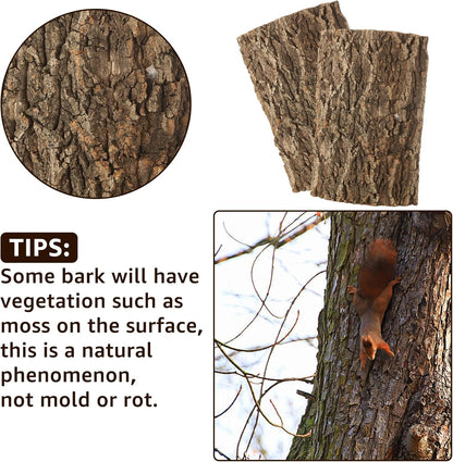 RHBLME 6 Pack Cork Bark for Reptiles, 11.8" L x 7.8" W Cork Bark for Terrarium, Reptile Tank