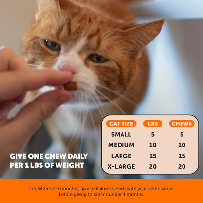 Cat Hip & Joint Health Crunchy & Creamy Chews - Cat Joint Support Supplement with Glucosamine