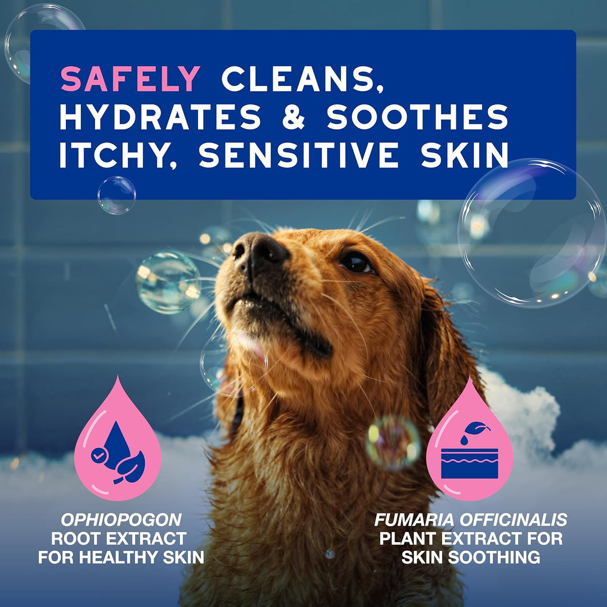 DOUXO® Skin & Coat SPA - Ultra-Safe Dog Shampoo for Itchy Skin, 16 fl oz, Skin-Friendly Formula