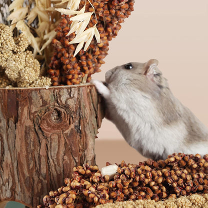 Natural Ear of Grain Flower&Herb Bedding Mate Habitat Decor, Adding Fun Hamster Accessories for