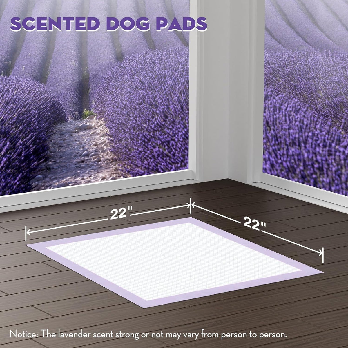 CROCI Puppy Pads 22x22in Small with Adhesive Tabs, Dog Pee Pads Absorbs Up to 3 Cups Potty