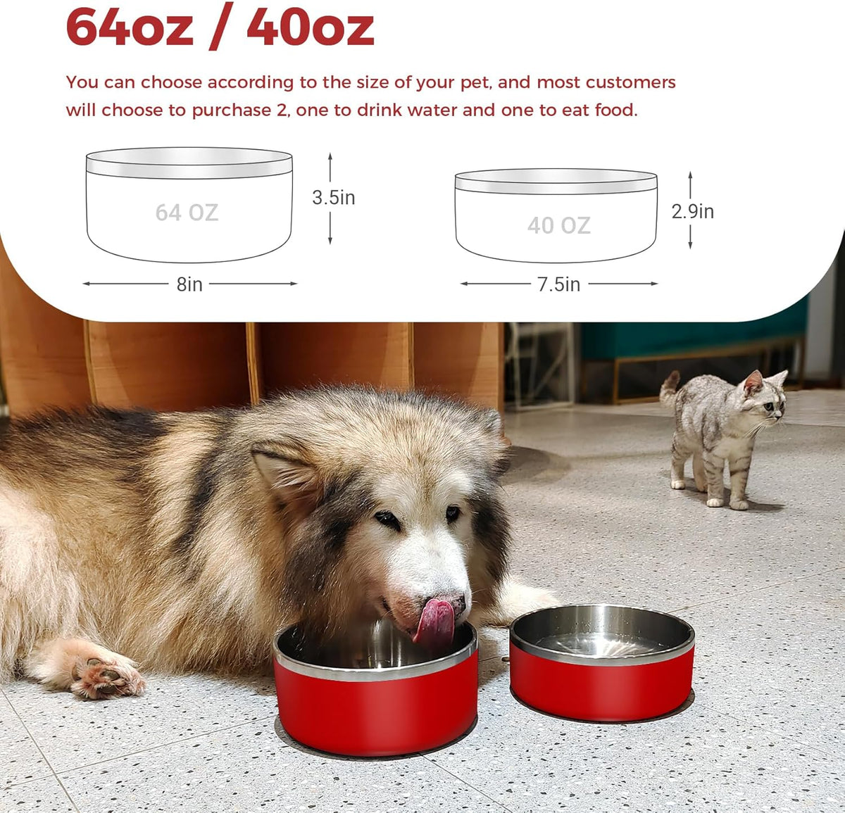 Dog Bowl, Stainless Steel Dog Food and Water Bowl with Non Slip Quiet Bottom, Easy to Clean
