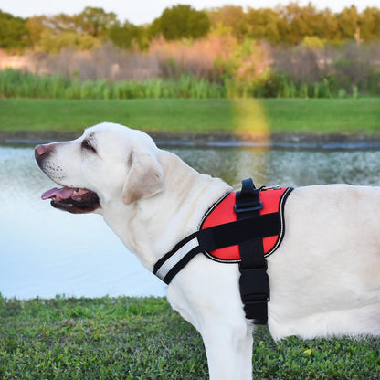 Dogline Dog Harness, Reflective No-Pull Adjustable Vest with Handle for Walking, Training, Service