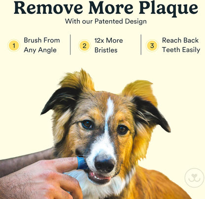 Jasper Dog Toothbrush, 360º Dog Tooth Brushing Kit, Cat Toothbrush, Dog Teeth Cleaning, Dog Finger
