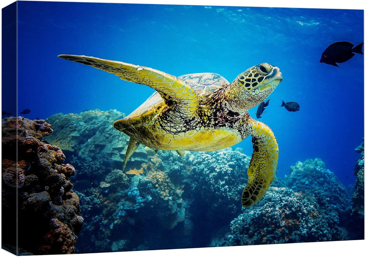 wall26 Canvas Print Wall Art Vibrant Ocean Underwater Swimming Turtle Nature Animals Photography