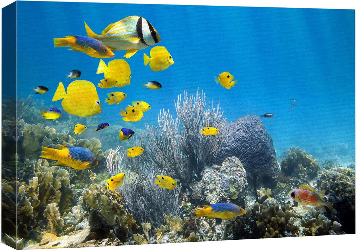 wall26 Canvas Print Wall Art Yellow School of Fish with Blue Coral Reef Nature Ocean Photography