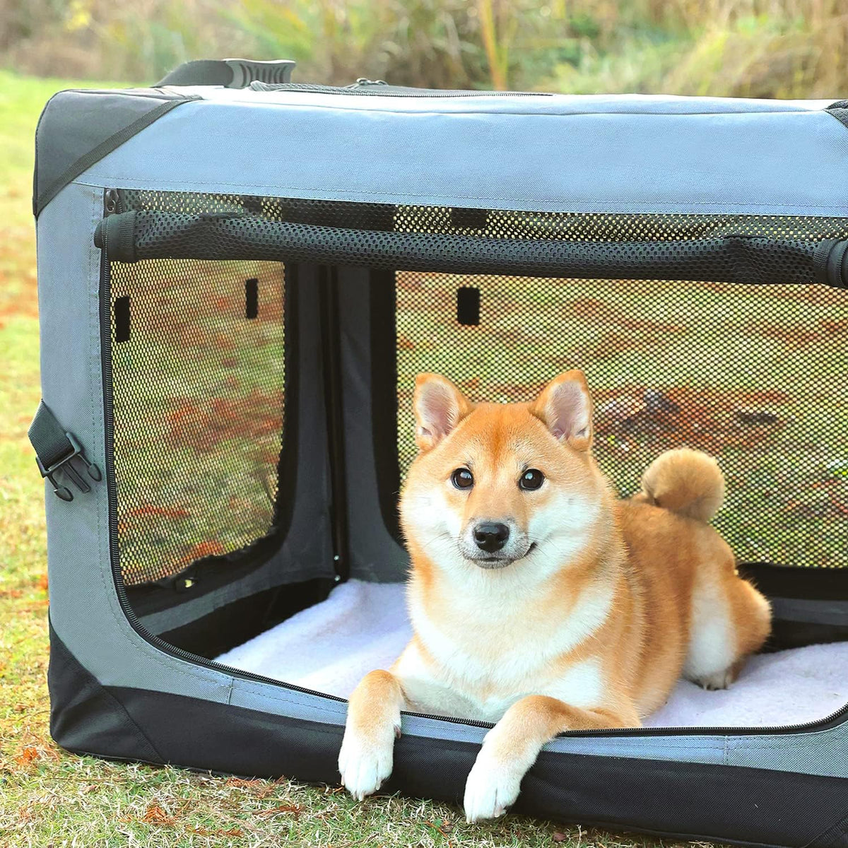 Pettycare 36 Inch Collapsible Crate for Large Dogs, 4-Door Foldable Soft Kennel with Chew Proof