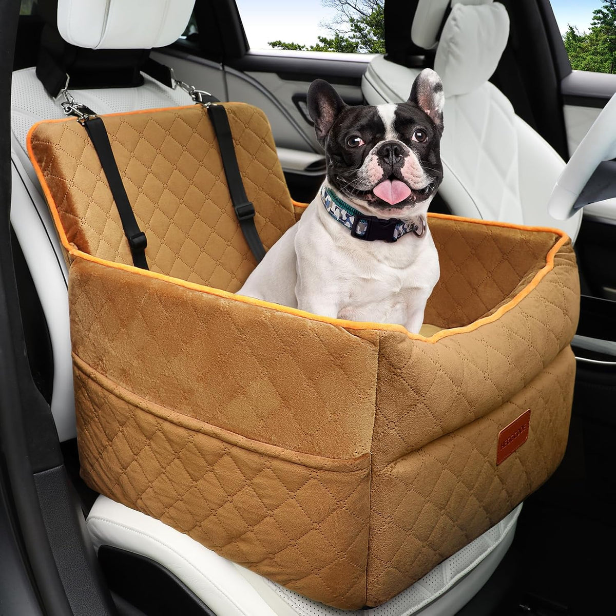 Dog Car Seat for Small Medium Dogs, Memory Foam Dog Booster Seats with Thick Cushion for Dogs Under