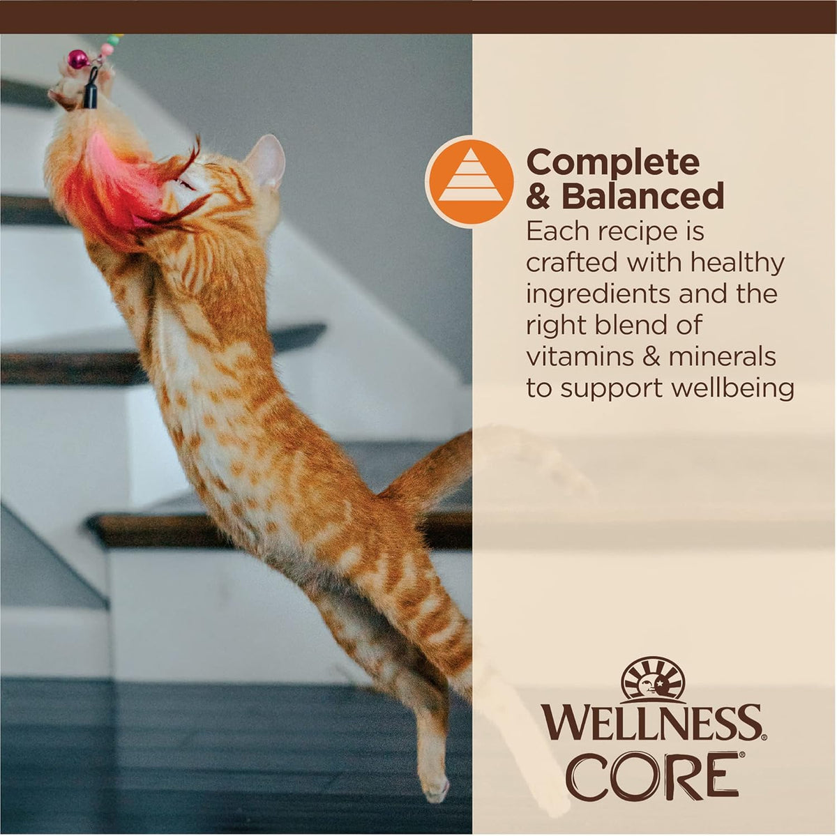 Wellness CORE Tiny Tasters Minced Adult Wet Cat Food, Natural, Protein-Rich, Grain Free, 1.75-Ounce