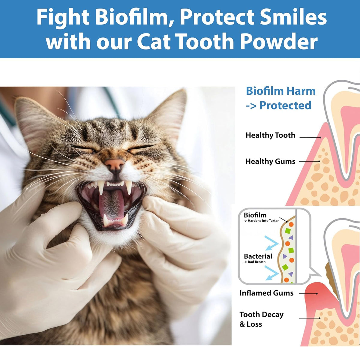 Cat Dental Care Powder Bad Breath Treatment for Cats Teeth, Mouth, Gums & Gut, Plaque Off,Tartar