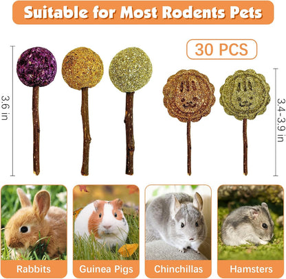 Fhiny Rabbit Chew Toys, 30 PCS Natural Bunny Lollipop Chew Sticks Handmade Guinea Pig Molar Treats