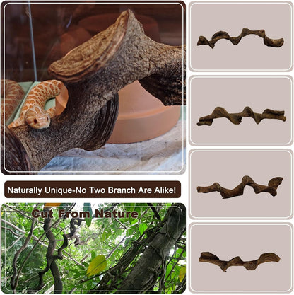 BNOSDM 2Pcs Reptile Climbing Branches Decor,Snake Climbing Branch,Gecko Climb Wood,Lizard Forest