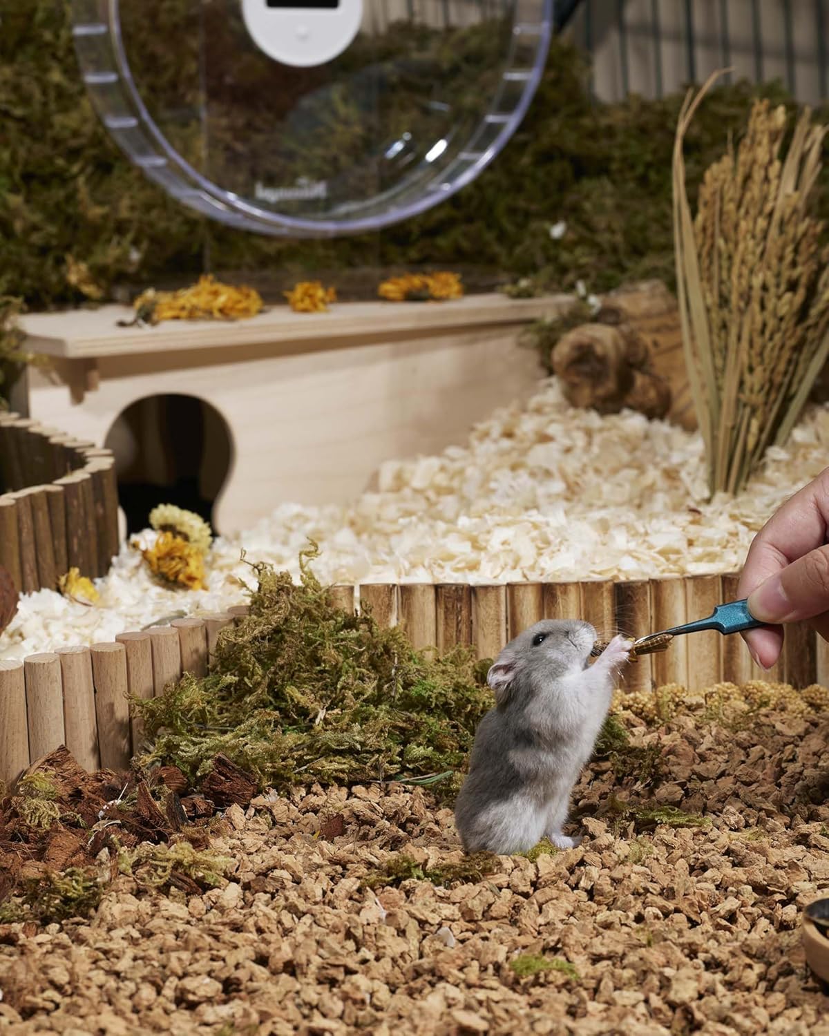 Niteangel Small Animal Snack & Treats - Small Critter Natural Treat for Dwarf Syrian Hamsters