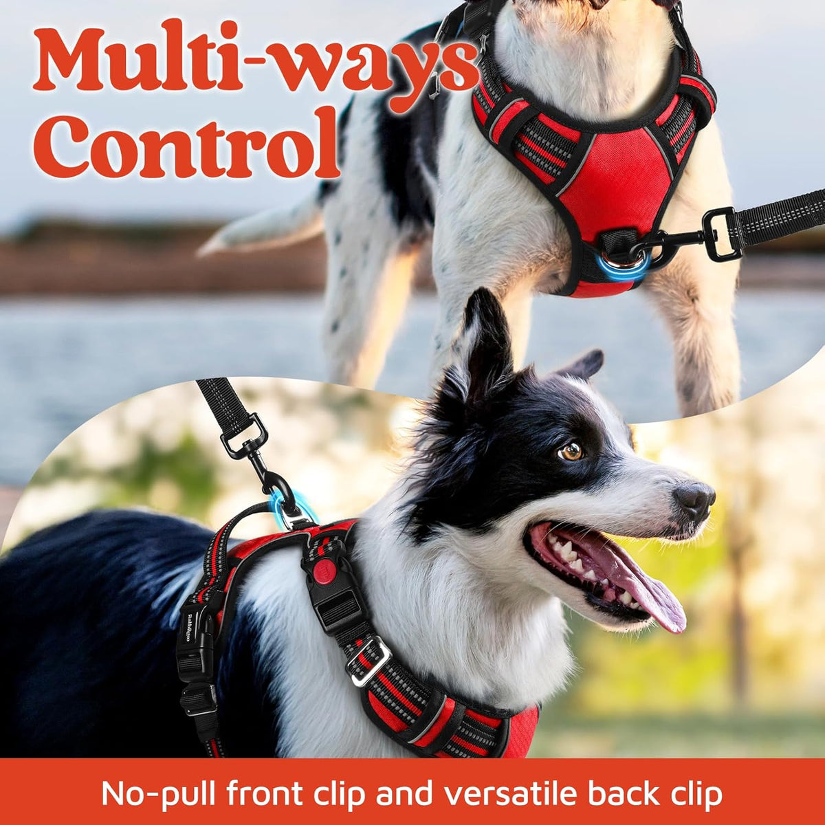 rabbitgoo Dog Harness for Large Dogs, No Pull Pet Vest with 3 Buckles, Adjustable Soft Padded Pet