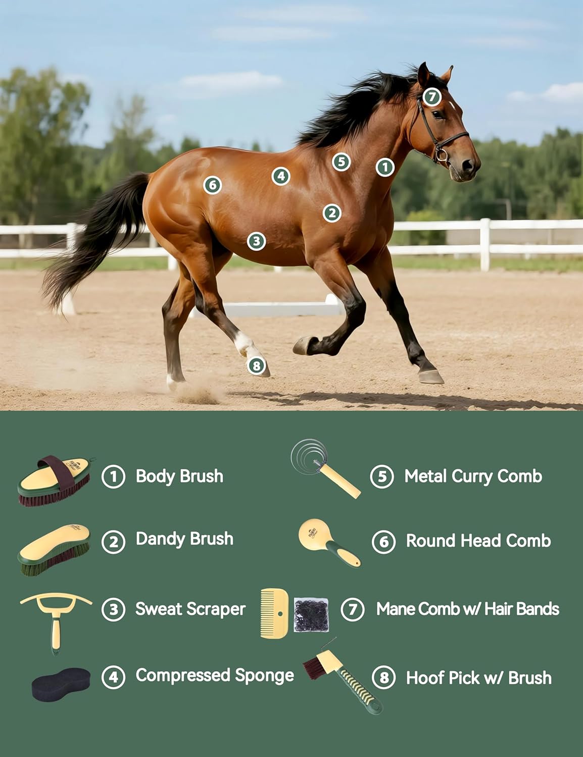 9PCS Horse Grooming Kit Curry Comb Sweat Scraper Horse Bathing Supplies Grooming Tools with Storage