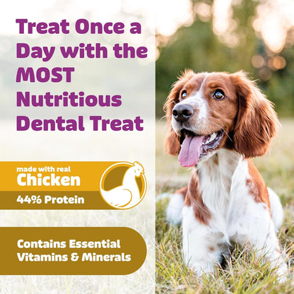 Dog Dental Treats – Vet VOHC Approved – Delicious Chicken Protein – Removes Tartar with Cleaning