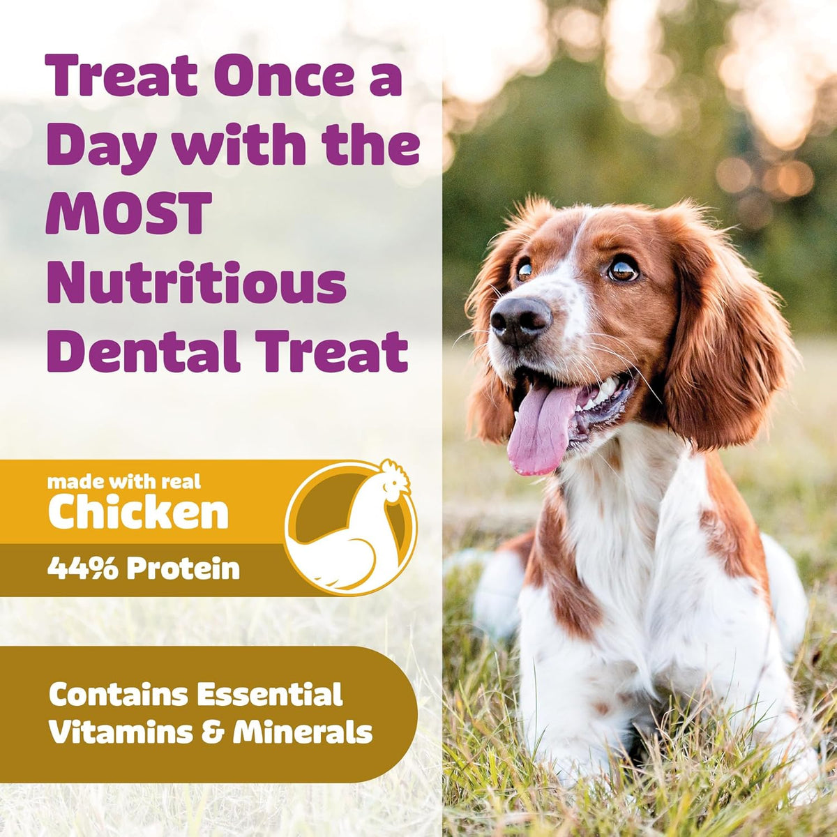Dog Dental Treats – Vet VOHC Approved – Delicious Chicken Protein – Removes Tartar with Cleaning