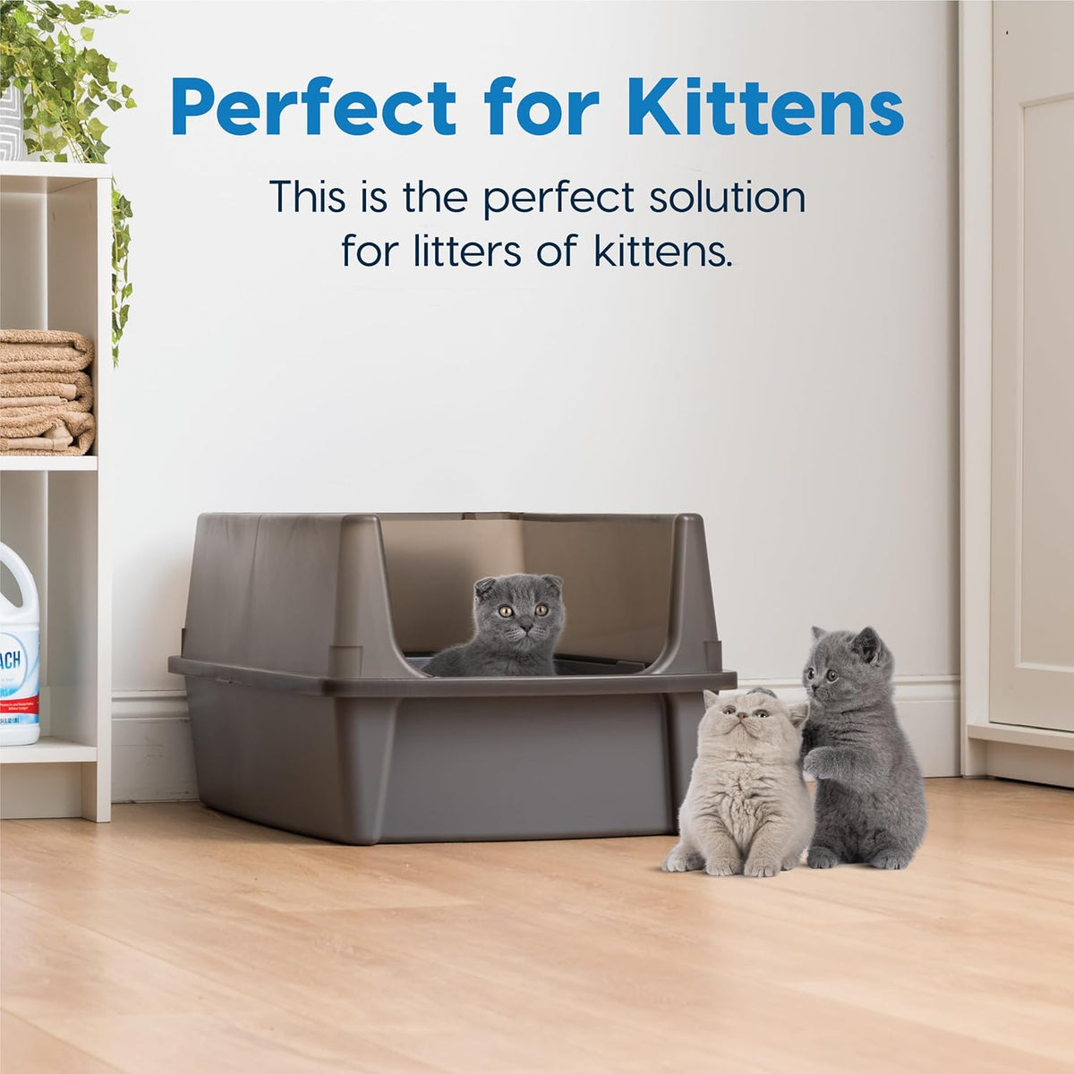 IRIS USA XX-Large Cat Litter Box, Open Top Extra Large Litter Box for Big Cats and Multi-Cat
