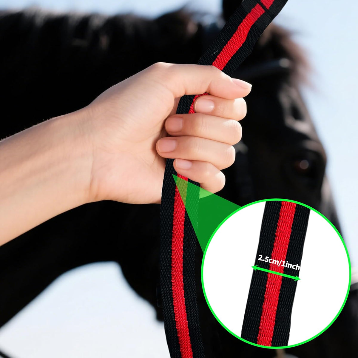 Lunge Line for Horse, Premium Equine Lunge Line with Swivel Bolt Snap for Accurate Equestrian