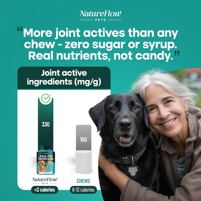 Joint Supplement for Dogs, Power of Nature Made in USA, Unique Formula: Green-Lipped Mussel