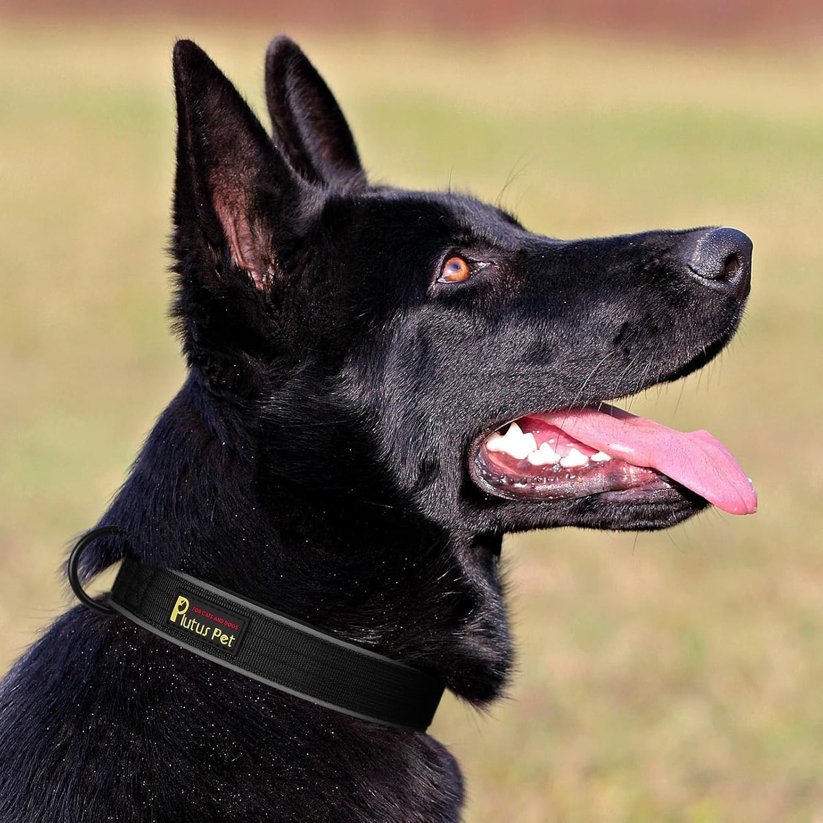 Plutus Pet Tactical Dog Collar, Reflective, Adjustable Heavy Duty Dog Collar, Soft Padded and