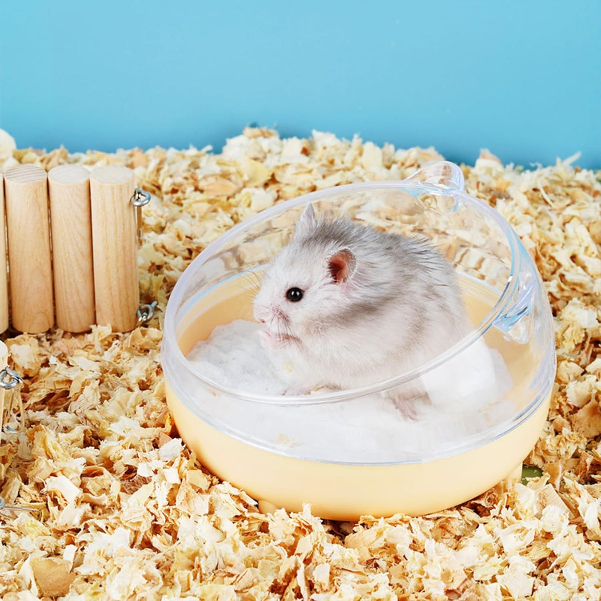 Meow&Woof Hamster Sand Bath Container, Large Sandbox Toilet Gerbil Batheoom, Tiny Chinchilla Dust