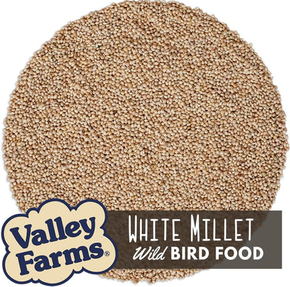Valley Farms White Millet Wild Bird Seed (20 LB) for Outside feeders, White proso Millet, Bird