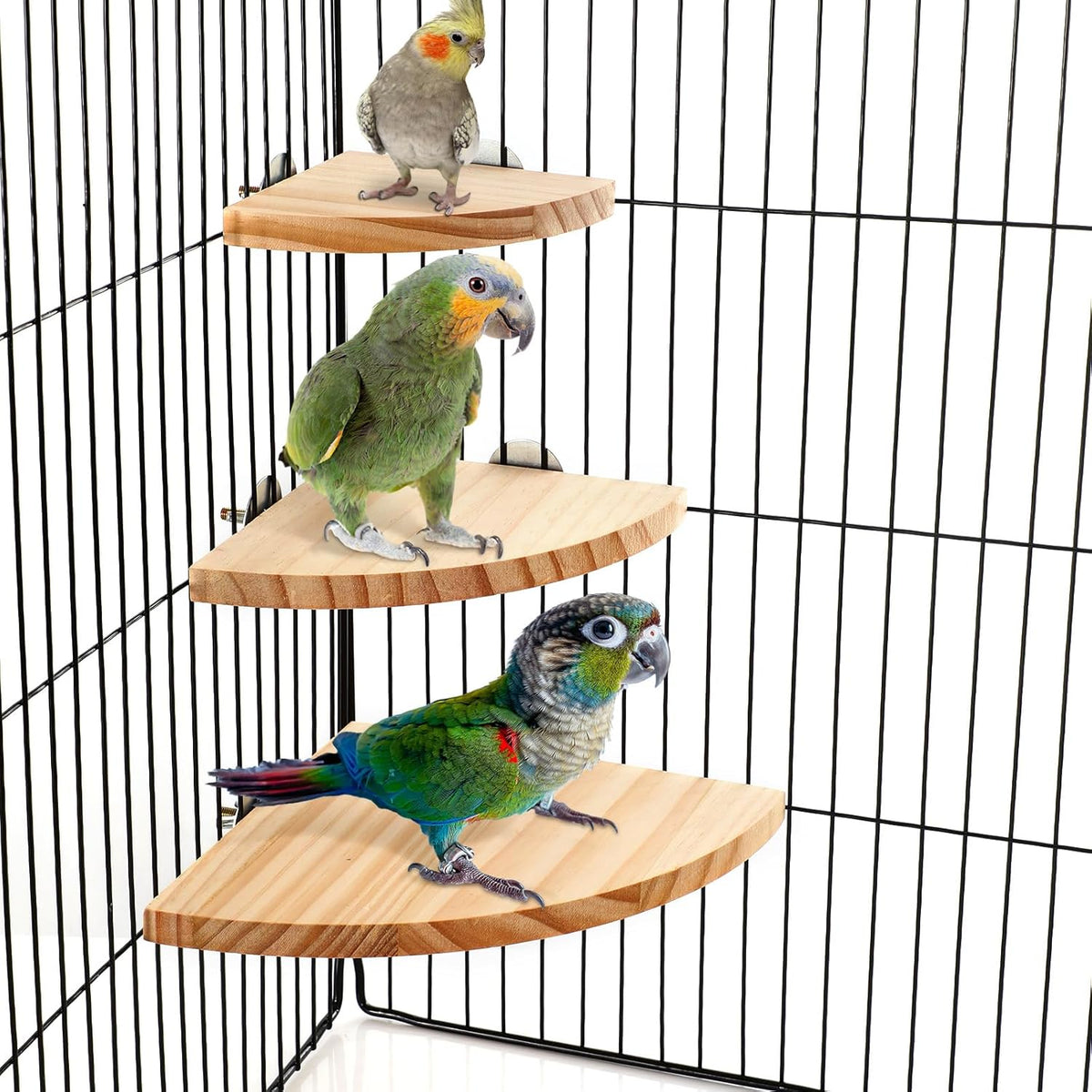 Wettarn 6 Pcs Bird Perch Platform Bird Corner Parrot Perch Corner Wooden Stand Sector Playground