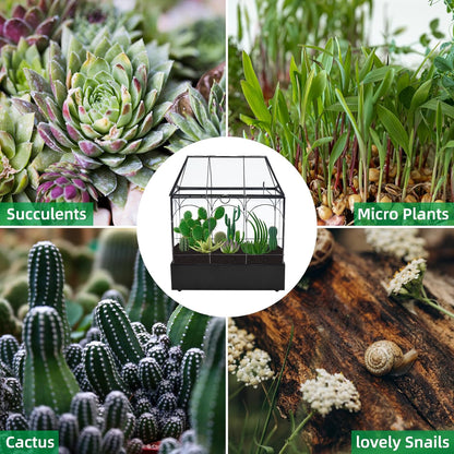 HighFree Glass Terrarium with Metal Tray, Glass Greenhouse Terrarium Kit for Succulents, Cacti