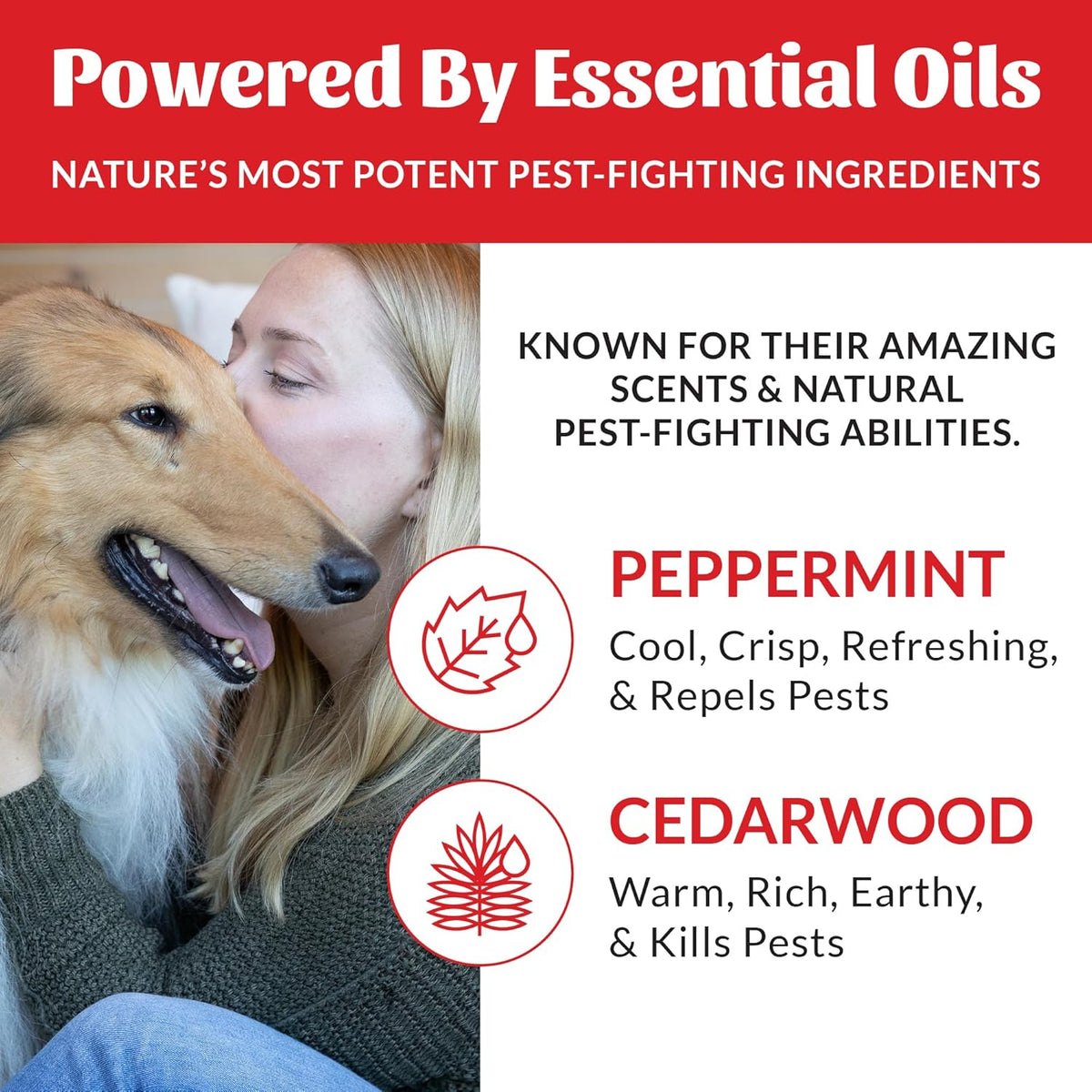 Skout's Honor Flea and Tick Dog & Home Spray - Natural Peppermint & Cedarwood Formula, Helps to