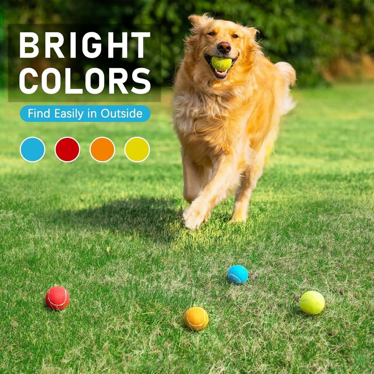 Prime Pets Tennis Balls for Dogs, 2.5 Inch Thick Bouncy Dog Ball, Interactive Dog Toys for Indoor