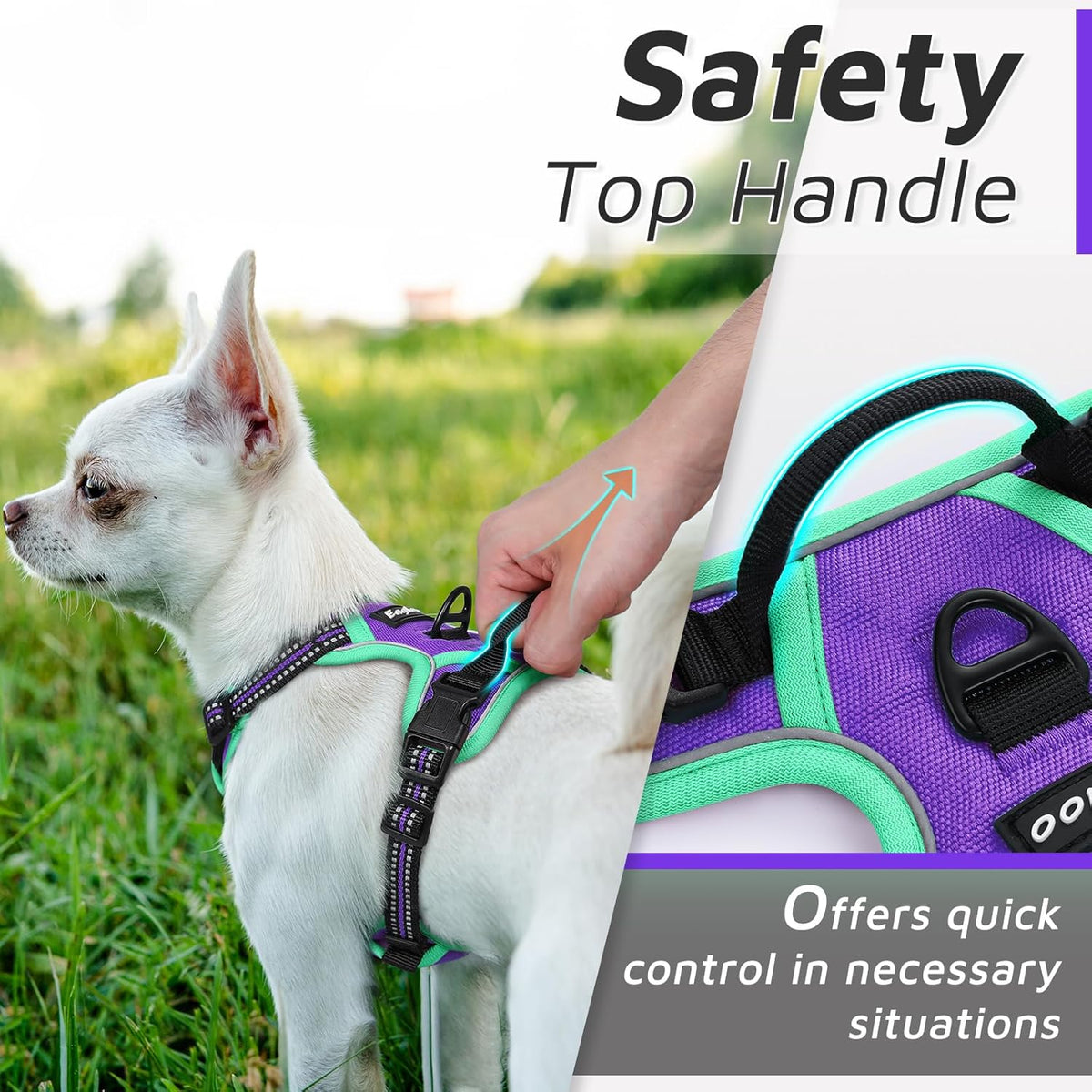 Eagloo Small Dog Harness No Pull, Service Vest with Reflective Strips and Control Handle
