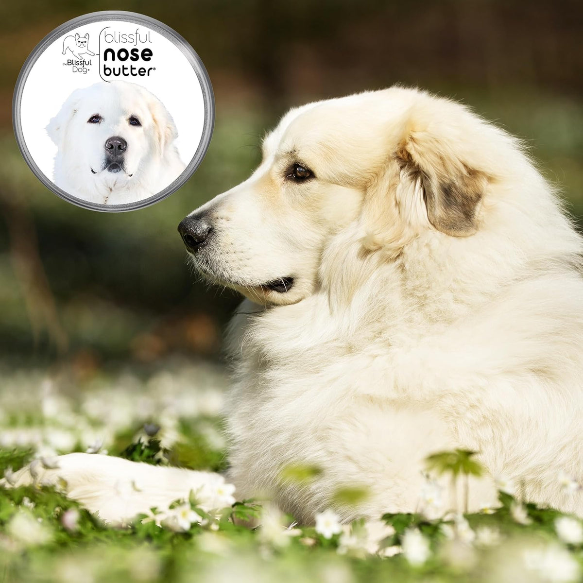 The Blissful Dog Great Pyrenees Nose Butter for Dry, Cracked Skin, Lick-Safe Dog Nose Balm with