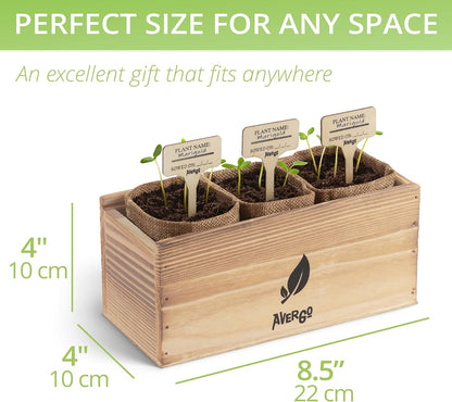 Sunflower, Marigold & Zinnia Flower Seeds Growing Kit – Complete Indoor & Outdoor Kit with Seeds