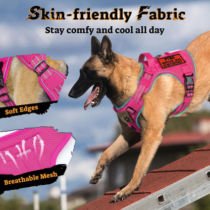 rabbitgoo Dog Harness Small Sized No Pull, Tactical Service Pet Vest with Molle and Control Handle