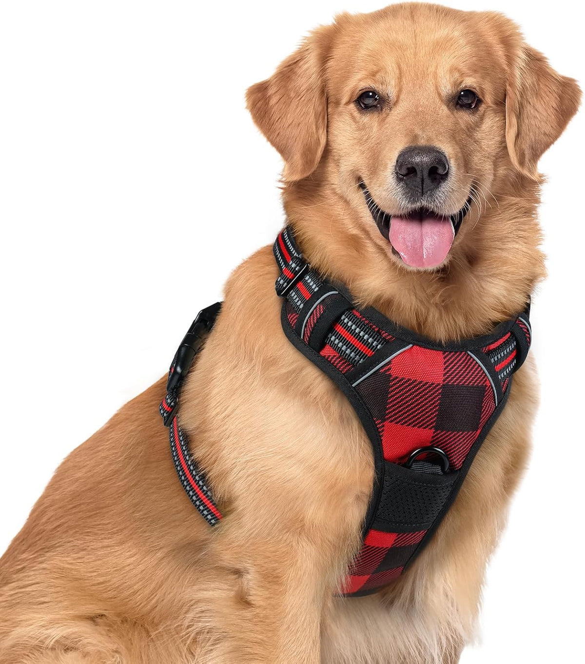 rabbitgoo Dog Harness No Pull with 2 Leash Clips, Adjustable Soft Padded, Reflective Oxford No