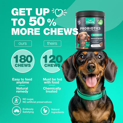 Probiotics for Dogs Gut Health, Digestion, Immunity, Yeast Balance, Itchy Skin, Allergies Support