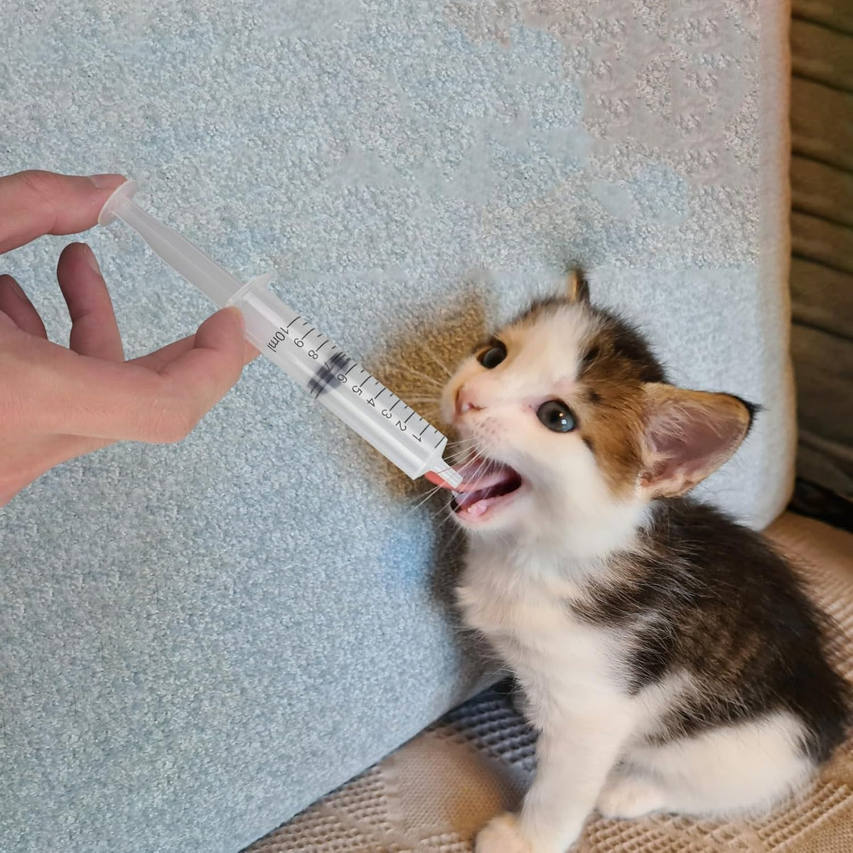Professional Reusable Puppies Feeding Syringes for Newborn Kittens, Puppies, Pets, Wildlife