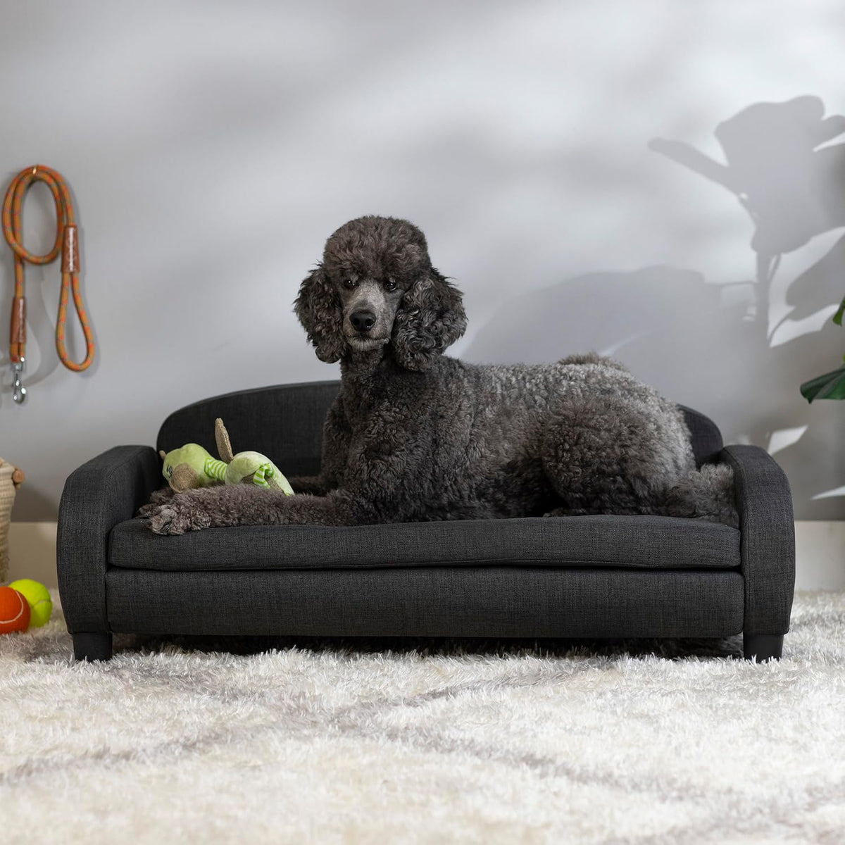 Paws & Purrs Multi-Cat Sofa Bed – 41.5″ Wide Elevated Pet Couch with 3″ Foam Mattress, Removable