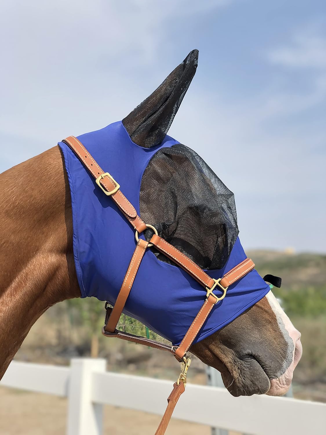 Horse Fly Mask Super Comfort Horse Fly Mask Elasticity Fly Mask with Ears We Only Make Products