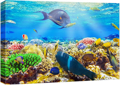 wall26 Canvas Print Wall Art Sunlight Ocean Sea Coral Reef Anemone Fish Nature Animals Photography
