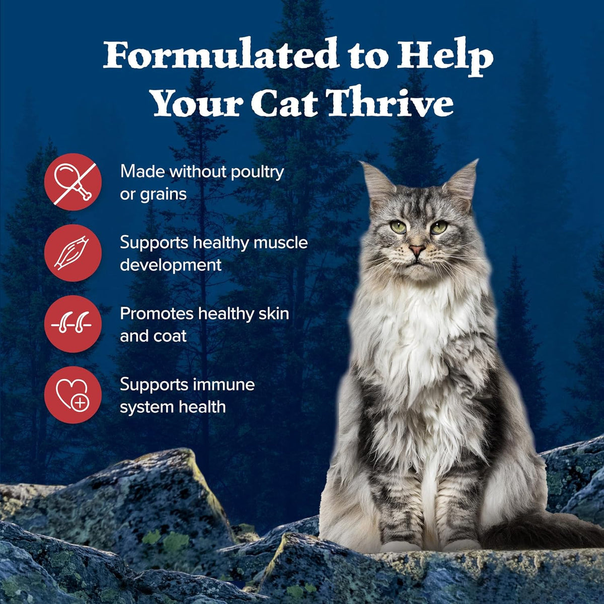 Blue Buffalo Wilderness Adult Dry Cat Food, Rocky Mountain Recipe, Chicken-Free & Grain-Free Recipe
