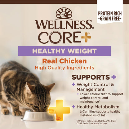 Wellness CORE+ Adult Dry Cat Food for Indoor & Outdoor Cats, Grain Free, Natural, Healthy Weight