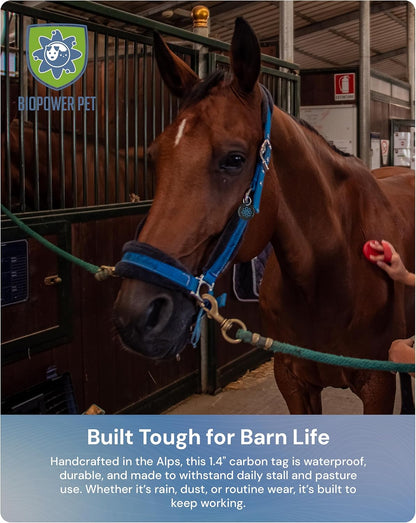 BioPower Natural Fly & Tick Repellent for Horses - Horse Shield Tag with 1-Year Bioresonance