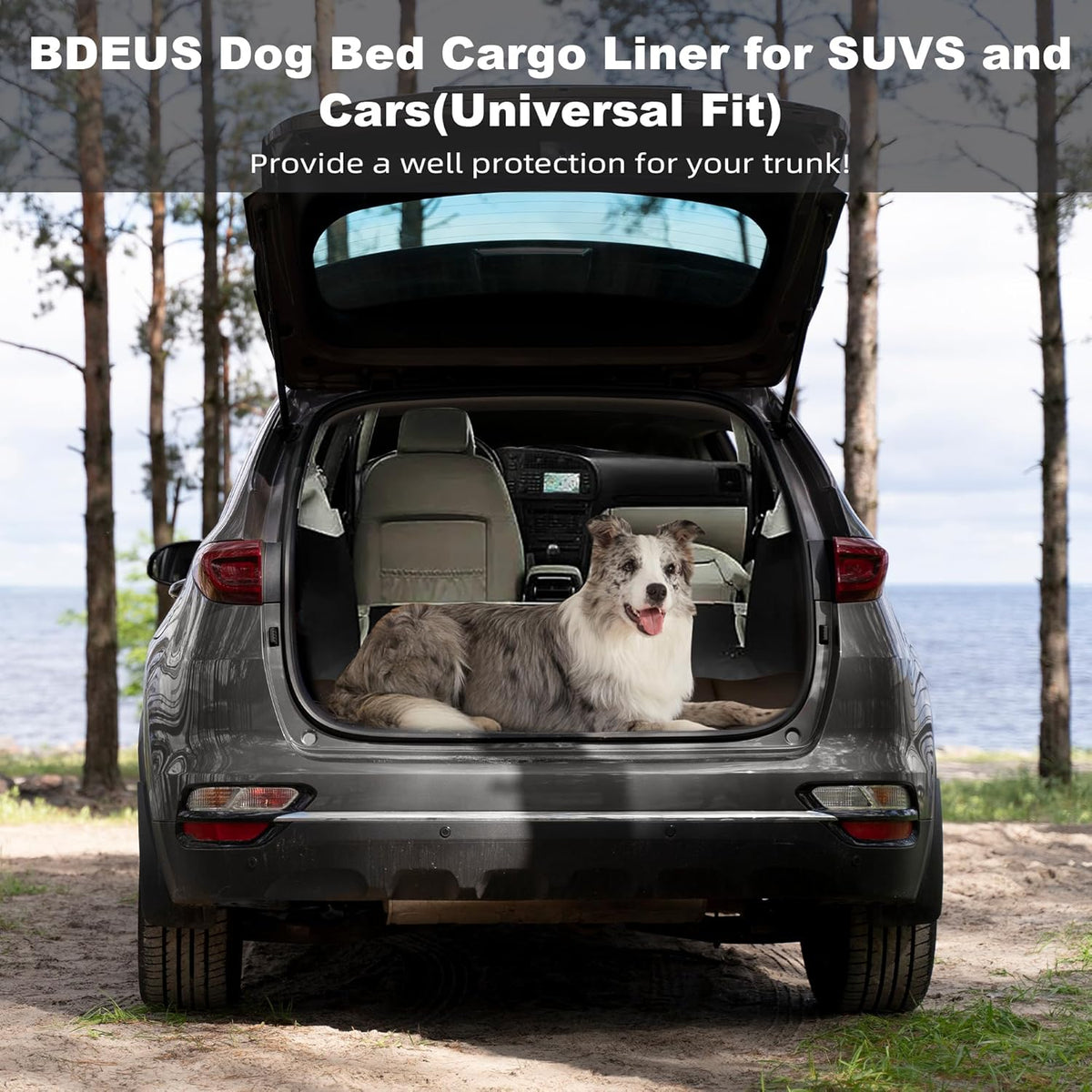 BDEUS 51x35In Extra Large Size Outdoor Dog Bed, Waterproof & Portable Camping Travel Pet Mat, Easy