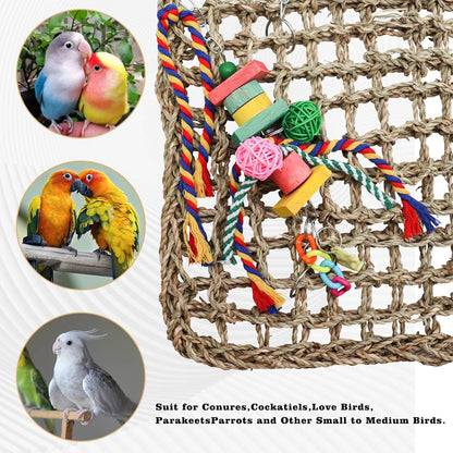 Large Bird Swing Toys, Colorful Parrot Seagrass Mat Hammock with Blocks, Bird Foraging Toy, Bird