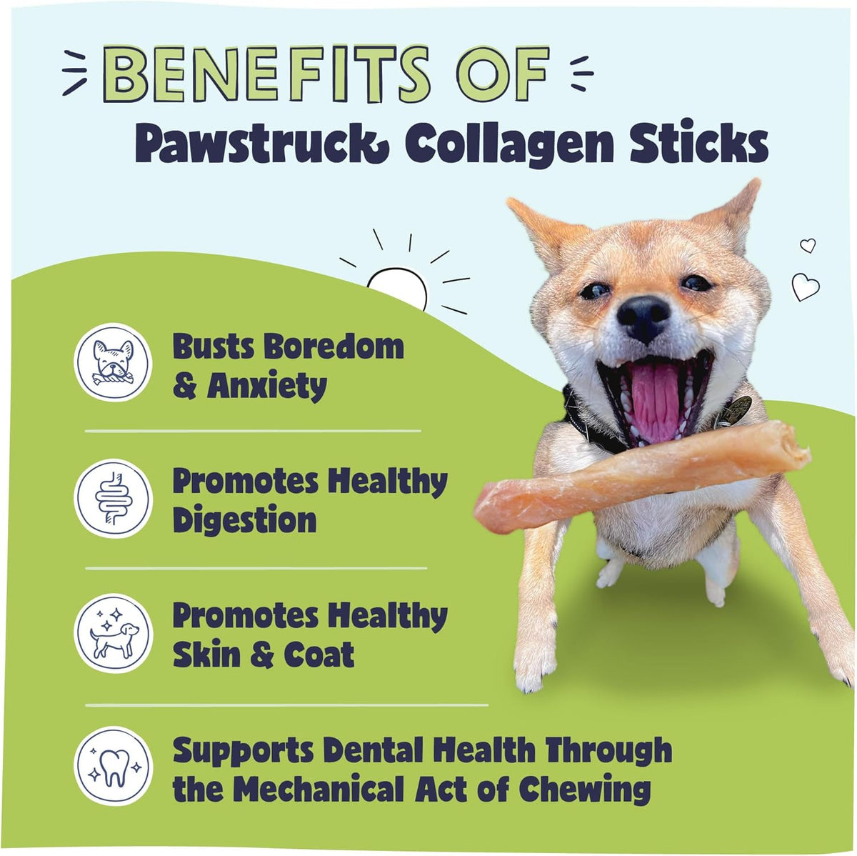 Pawstruck Natural 5-7" Beef Collagen Sticks for Dogs – Long-Lasting Rawhide Alternative, High