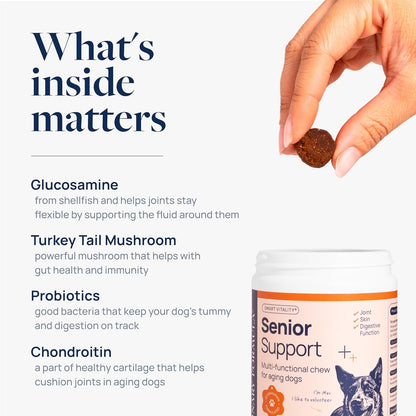 Veterinary Formula Smart Vitality Senior Support Dog Supplements 60ct – Senior Dog Vitamins to Help