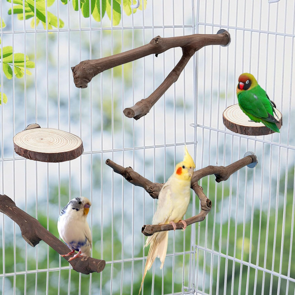 Mogoko 5PCS Bird Perch Natural Wood Grape Stick Stand, 3 Grape Stick Paw Grinding Fork Parakeet